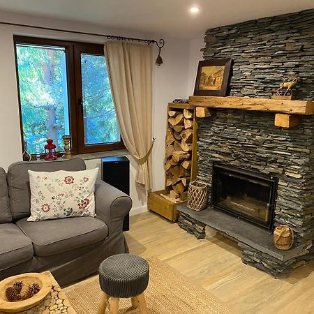 Muntele Cacovei  Mountain Chalet - Cabana La Muntele Baisorii מראה חיצוני תמונה