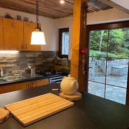 Muntele Cacovei  Mountain Chalet - Cabana La Muntele Baisorii מראה חיצוני תמונה