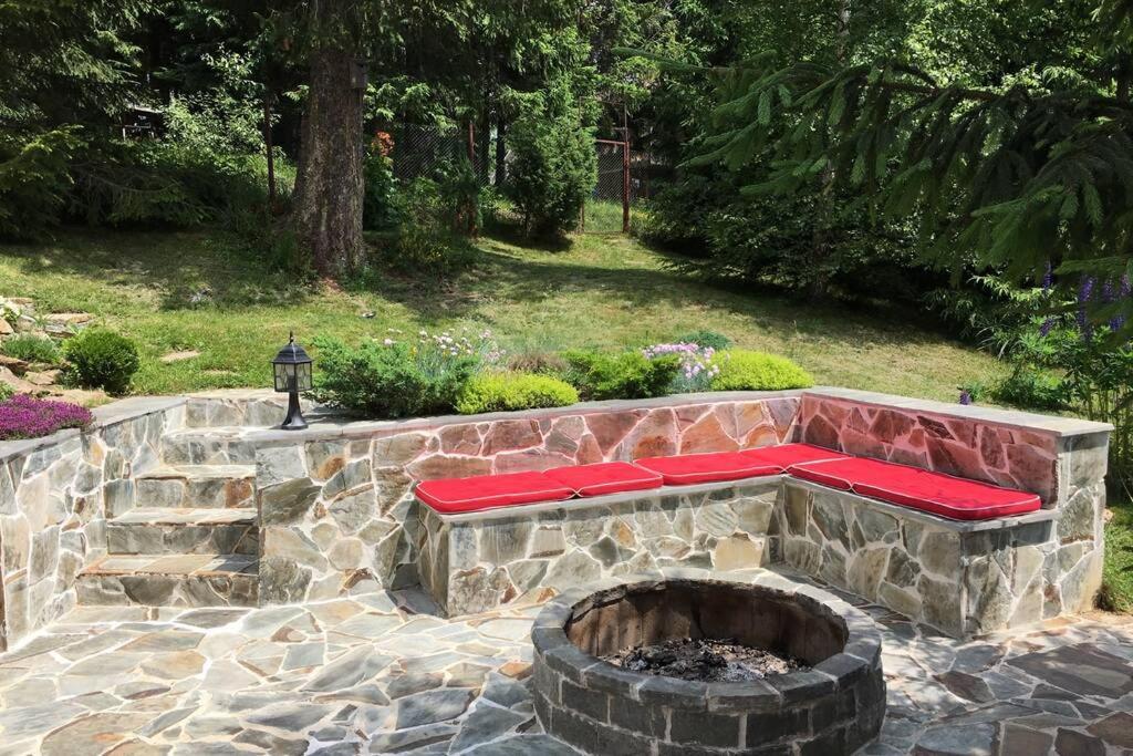 Muntele Cacovei  Mountain Chalet - Cabana La Muntele Baisorii מראה חיצוני תמונה