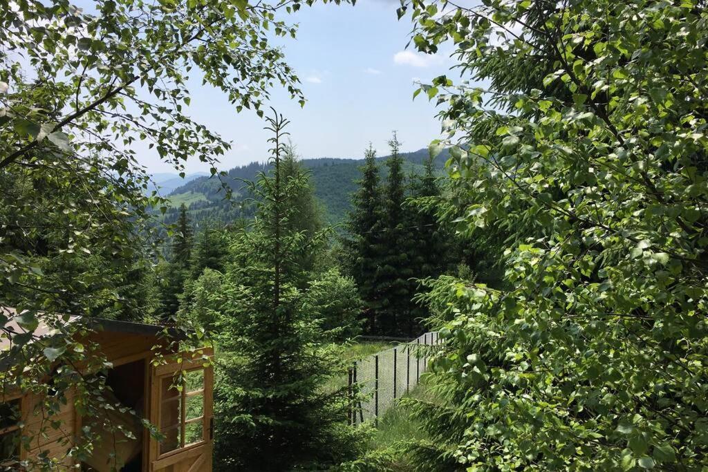 Muntele Cacovei  Mountain Chalet - Cabana La Muntele Baisorii מראה חיצוני תמונה