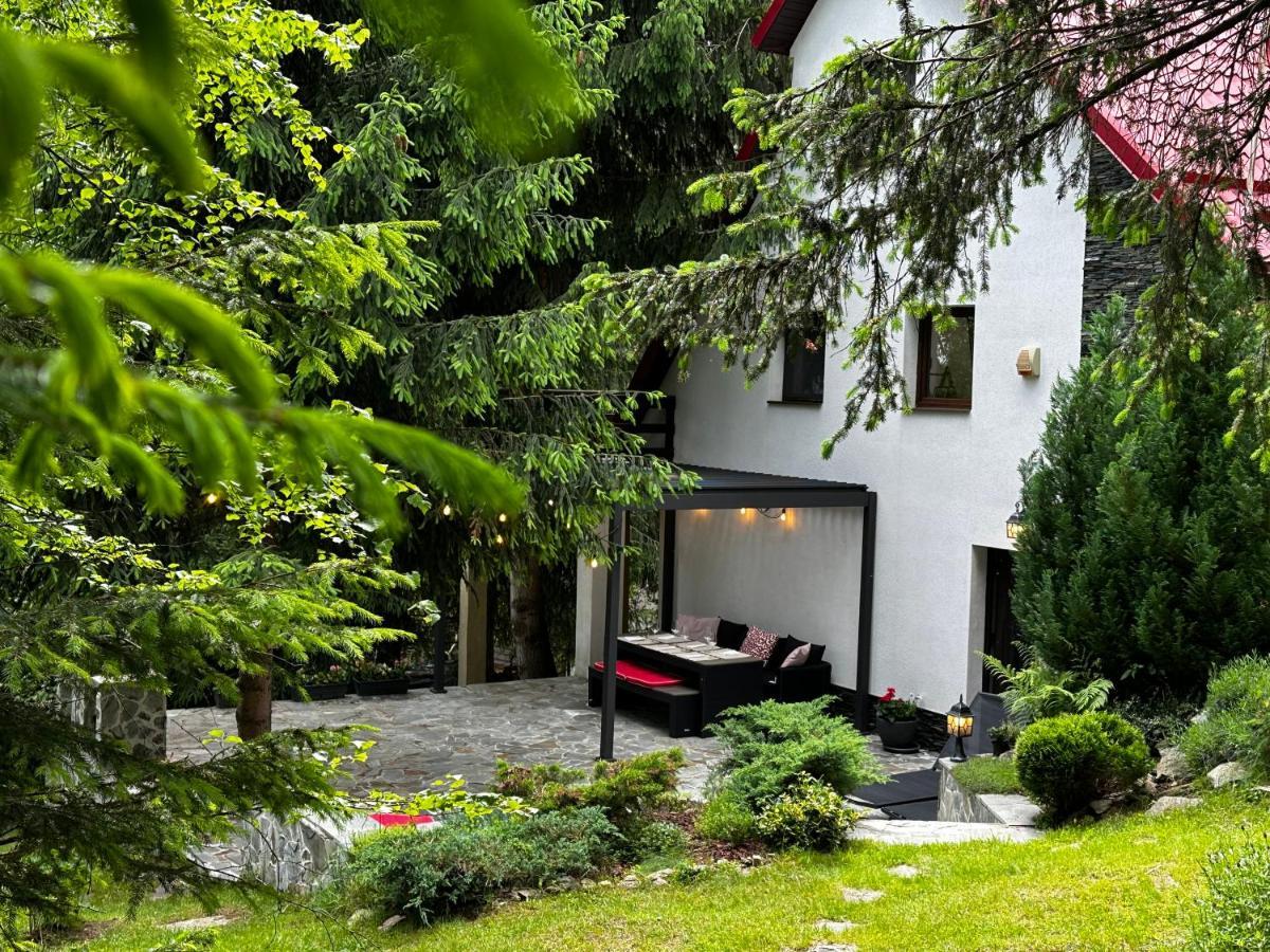 Muntele Cacovei  Mountain Chalet - Cabana La Muntele Baisorii מראה חיצוני תמונה